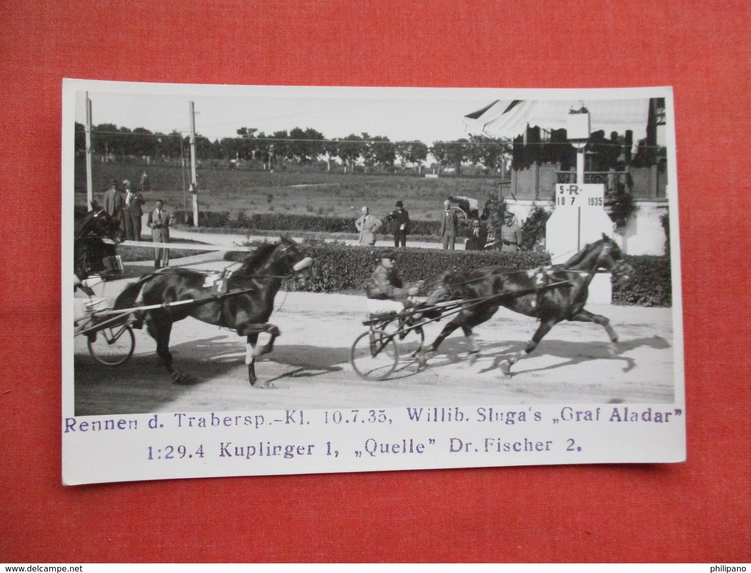 RPPC Horse Racing Trotter     Ref 3448 - Autres & Non Classés