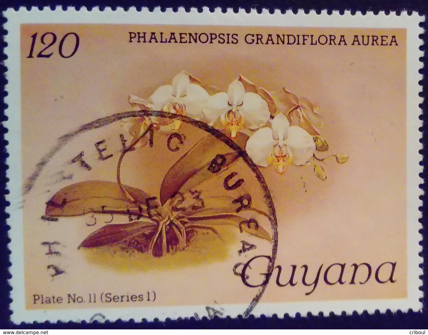 Guyana 1985 Fleur Flower Orchidée Orchid Yvert 1239 O Used - Guyana (1966-...)