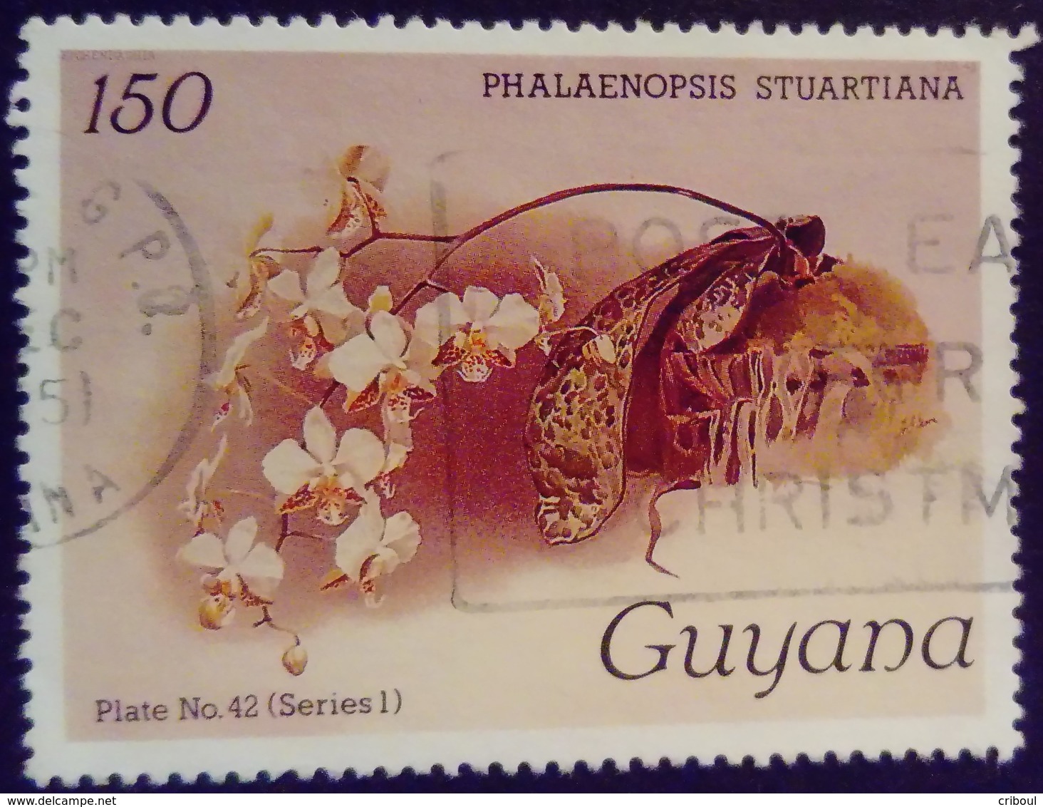 Guyana 1985 Fleur Flower Orchidée Orchid Yvert 1241 O Used - Guyana (1966-...)