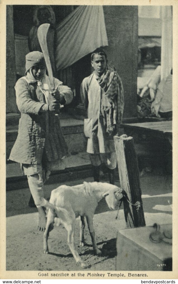 India, BENARES, Monkey Temple, Goat Sacrifice (1920s) Postcard - Indien