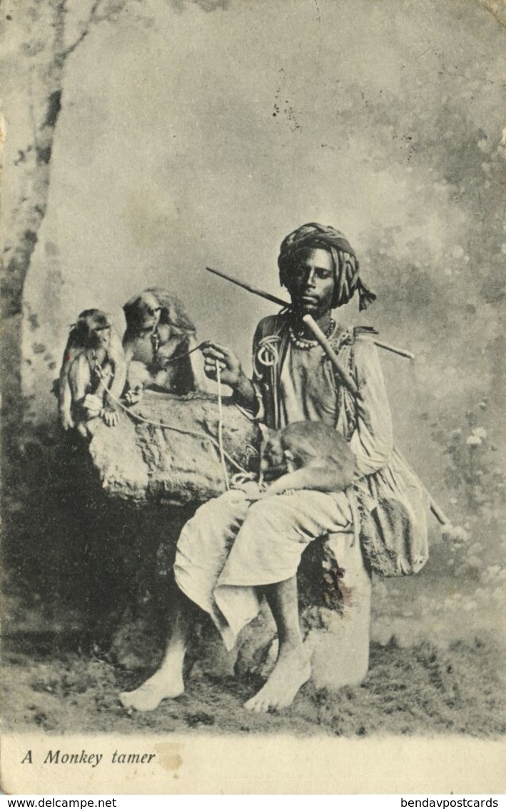 India, Native Juggler Juggling, Monkey Trainer (1908) Postcard - India