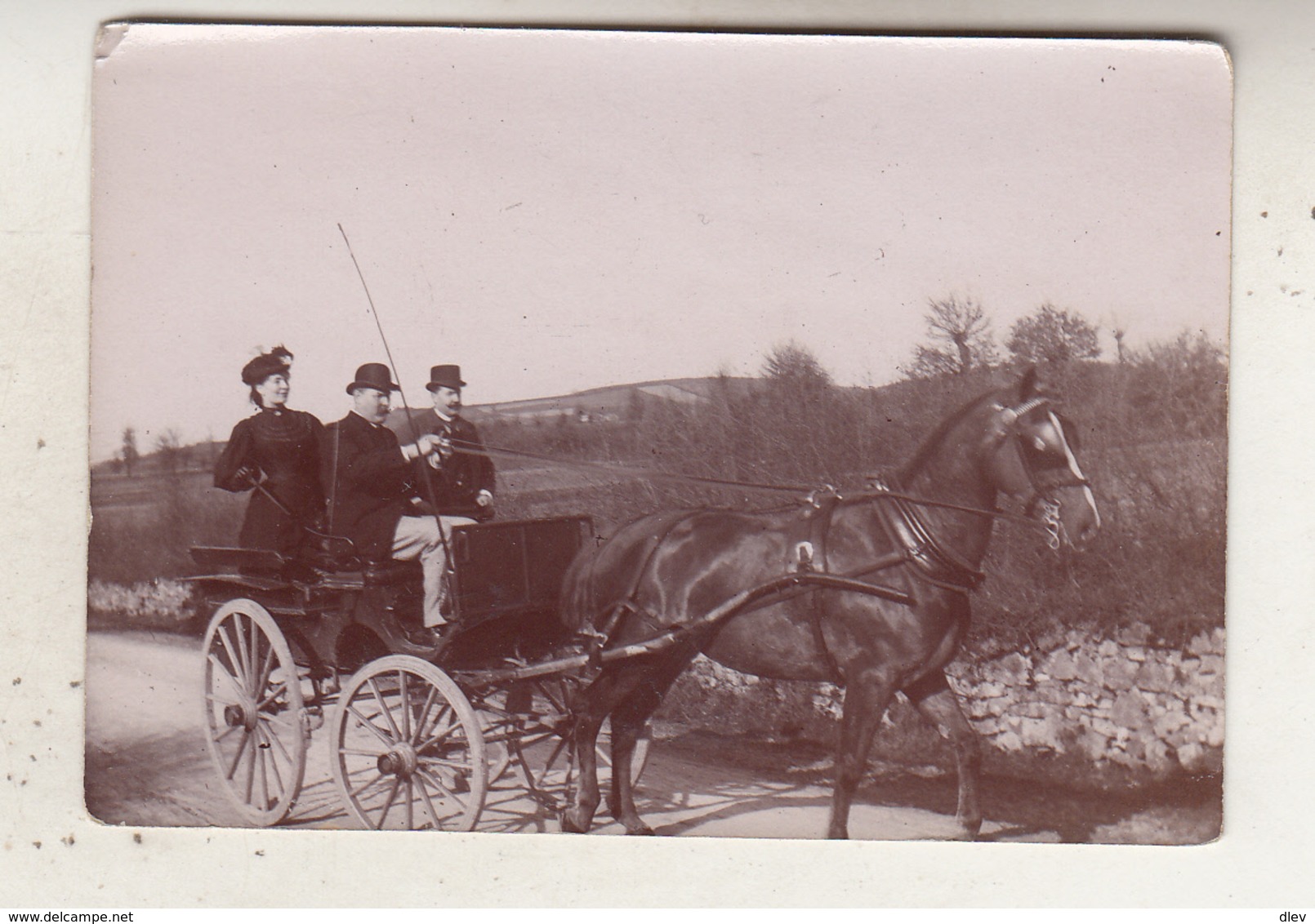 Attelage Aux Environs De Cluny - Voir Verso - Photo 6 X 8.5 Cm - Personnes Identifiées