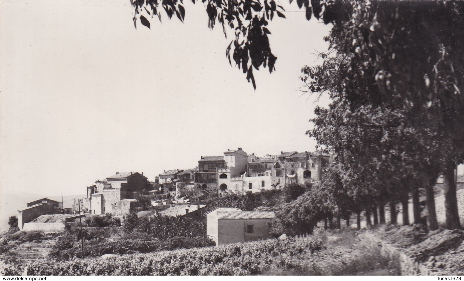 83 / LE CASTELLET / VUE GENERALE / JOLIE CARTE ARIS BANDOL - Le Castellet