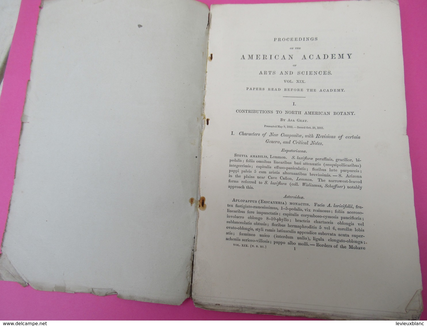 Livre /Botanique ASA GRAY/Contributions To North American Botany/American Academy Of Art And Sciences/1883      MDP107 - Altri & Non Classificati