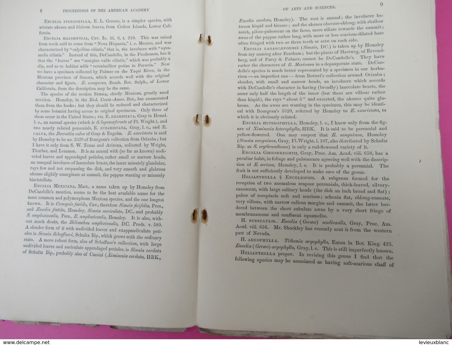 Livre /Botanique ASA GRAY/Contributions To North American Botany/American Academy Of Art And Sciences/1883      MDP107 - Sonstige & Ohne Zuordnung