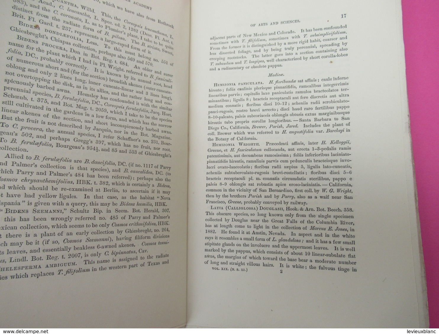 Livre /Botanique ASA GRAY/Contributions To North American Botany/American Academy Of Art And Sciences/1883      MDP107 - Sonstige & Ohne Zuordnung