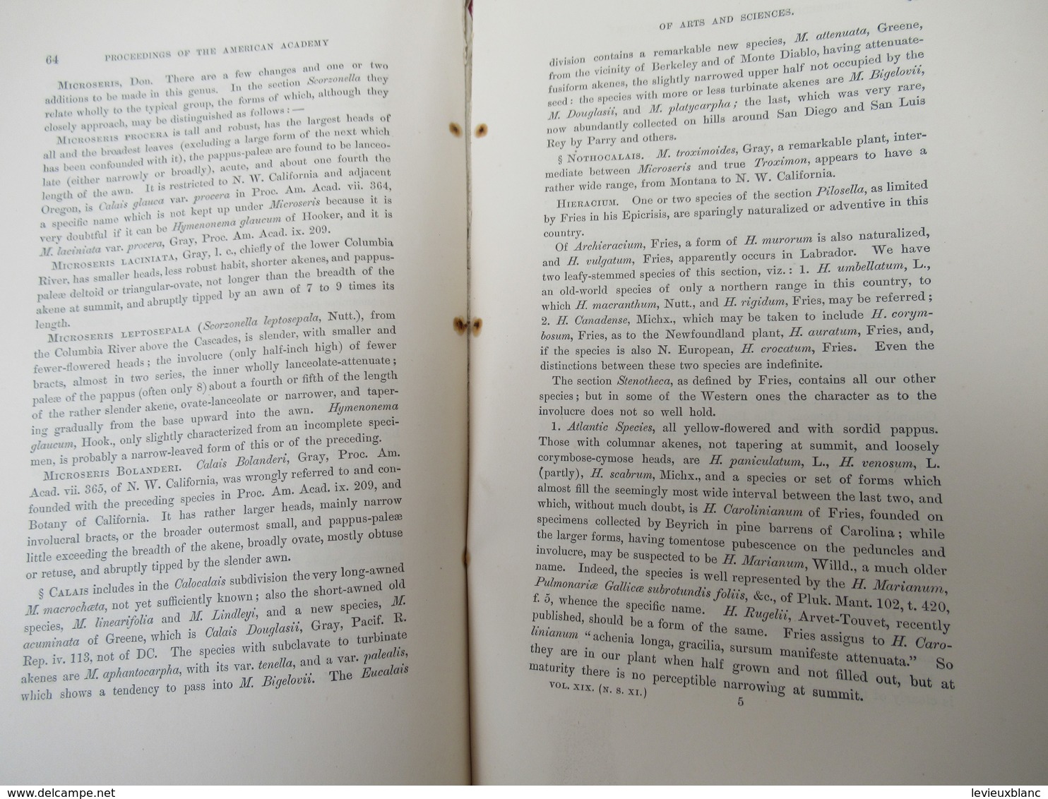 Livre /Botanique ASA GRAY/Contributions To North American Botany/American Academy Of Art And Sciences/1883      MDP107 - Otros & Sin Clasificación