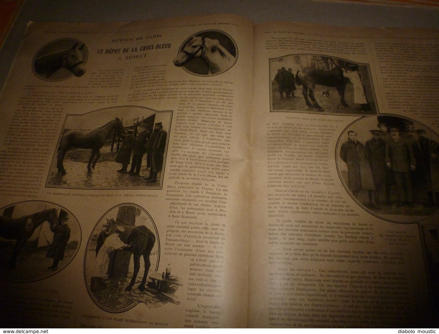 1916 LPDF:Arménie;Dépot-chevaux Croix Bleue à Paris;Erzeroum;Alpins Italiens;Bitlis;Van;Ketchi-Khalé;Dans Les Vosges;etc - Francese