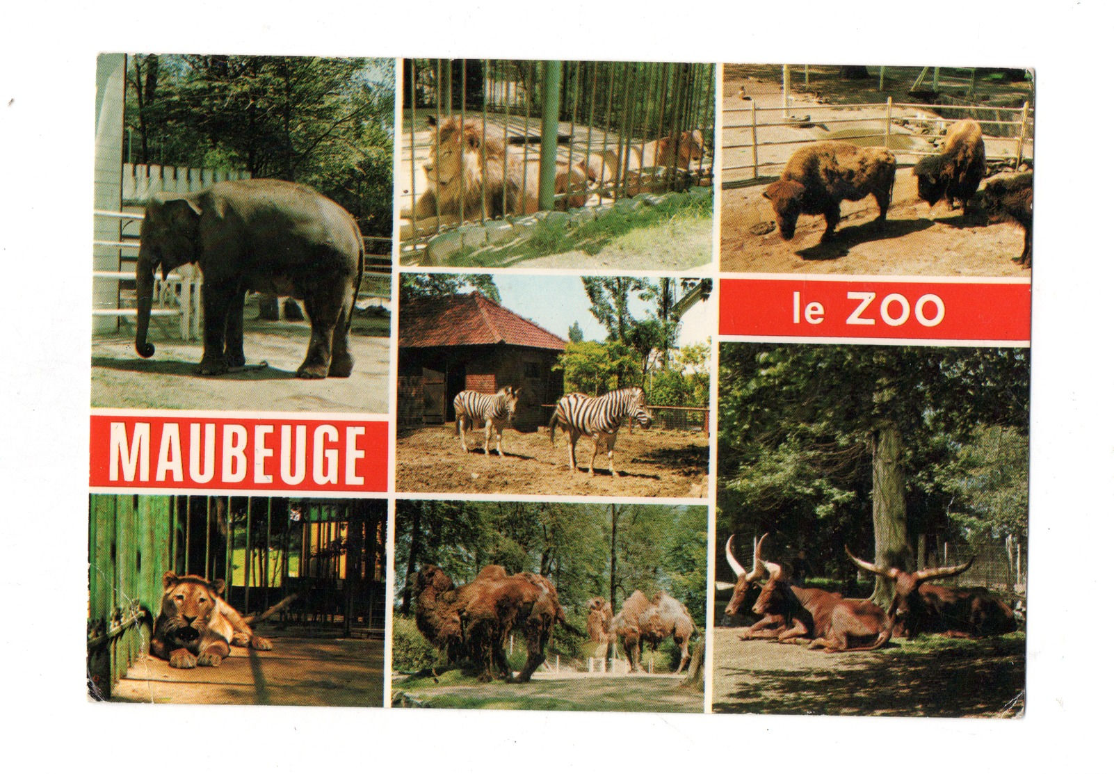 Maubeuge Le Zoo - Maubeuge