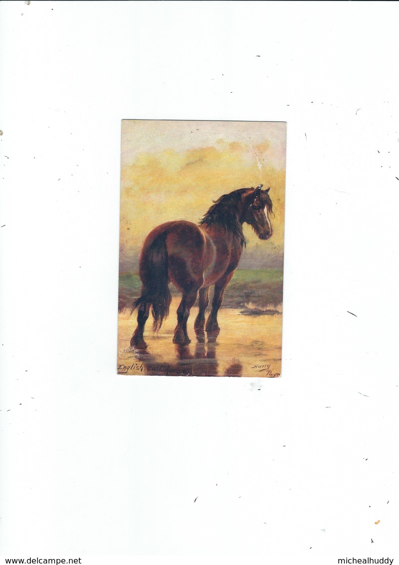 POSTCARD TUCKS OILETTE  HARRY PAYNE   HORSE - Other & Unclassified