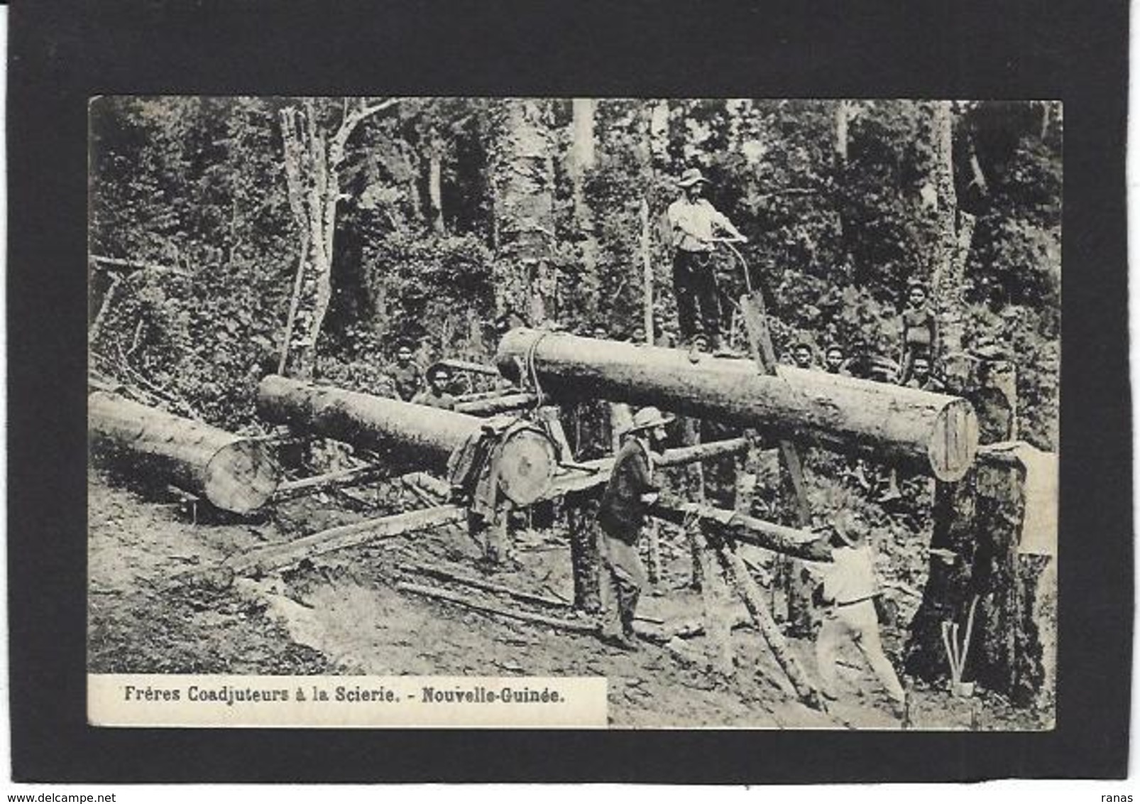 CPA Nouvelles Guinée Papouasie Type Ethnic Scieurs De Long Travail Du Bois Non Circulé - Papouasie-Nouvelle-Guinée