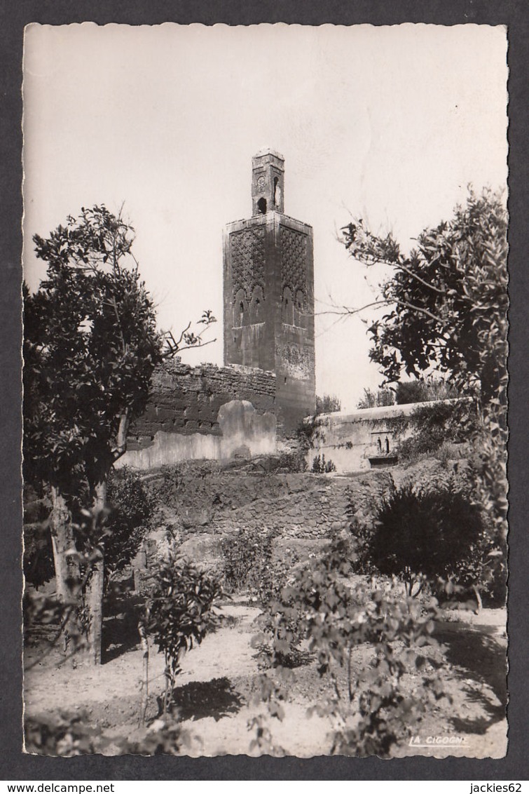 81562/ RABAT, Minaret Du Chellah - Rabat