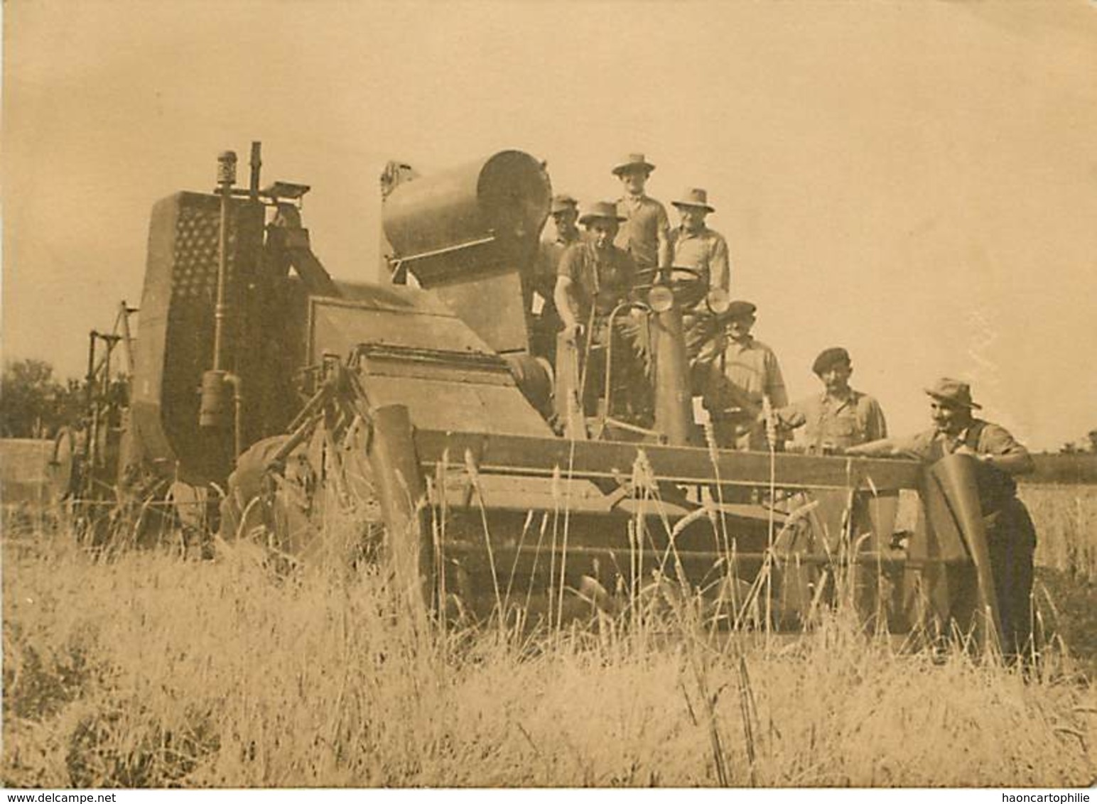 Moissonneuse Datée D'aout 1956 - Tracteurs