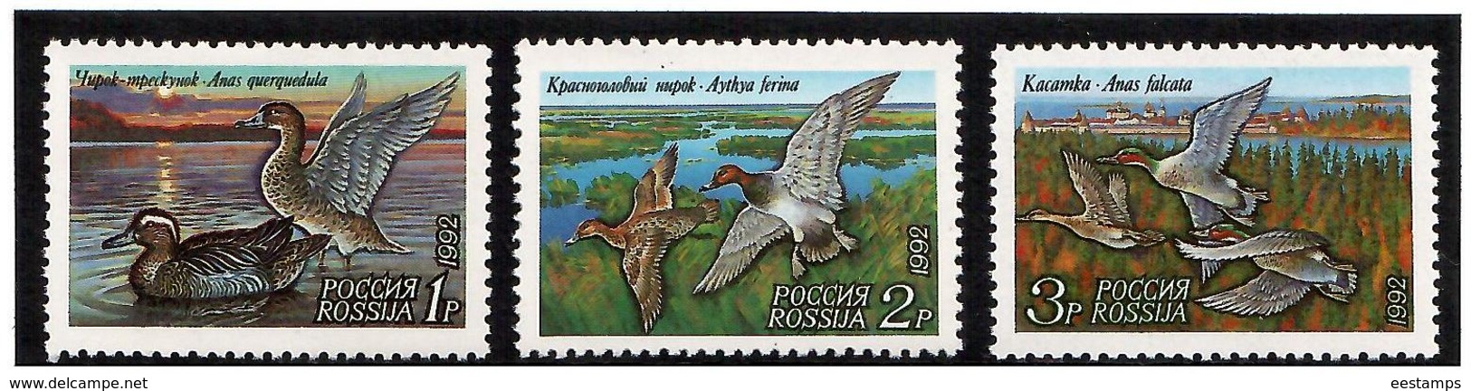 Russia.1992 Ducks '92. 3v: 1R, 2R, 3R  Michel # 254-56 - Unused Stamps