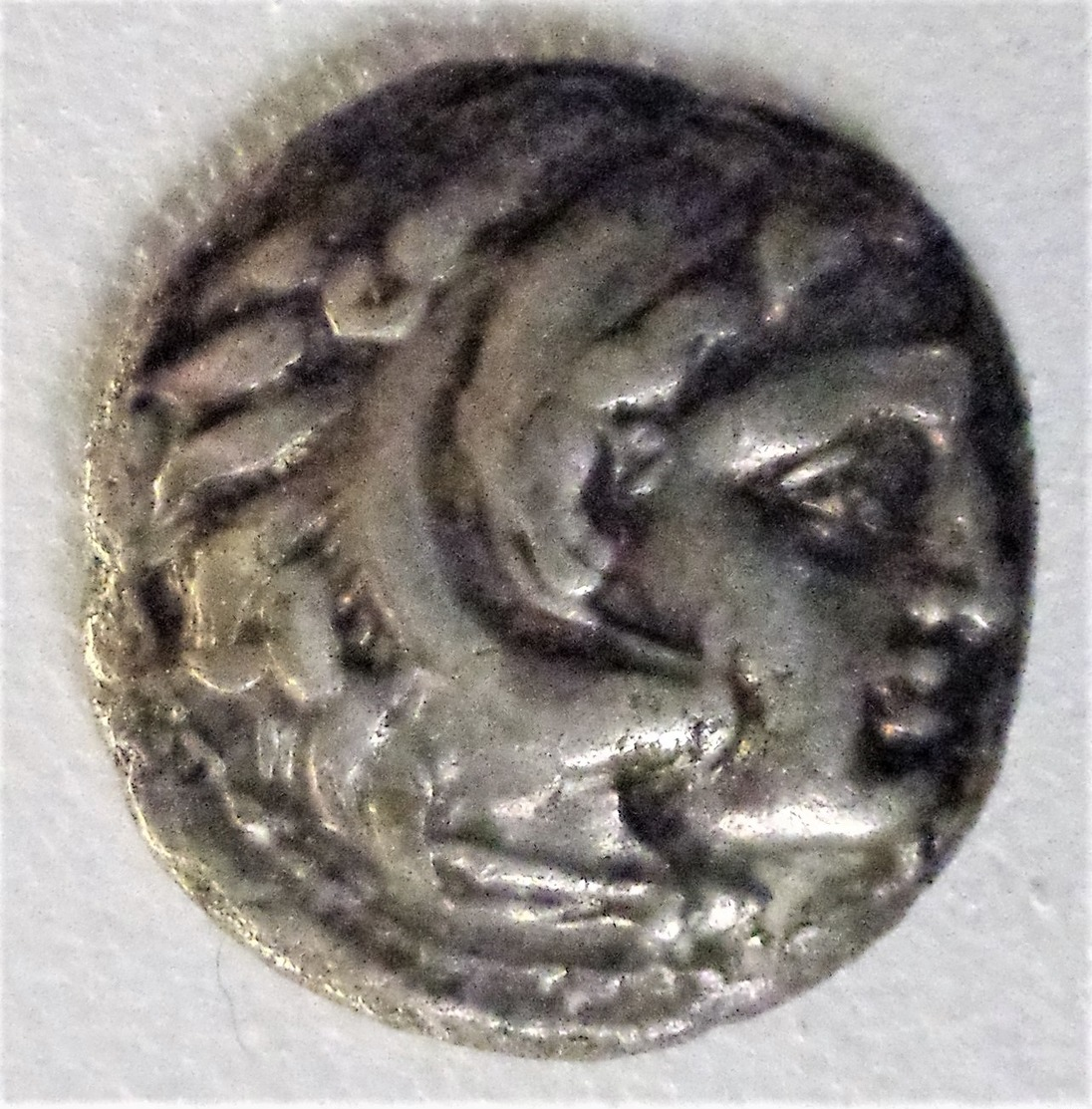 POSTUME DI ALESSANDRO MAGNO DRACMA DI LAMPSACO (?) ARGENTO GR 3,90 (10/04) - Griekenland