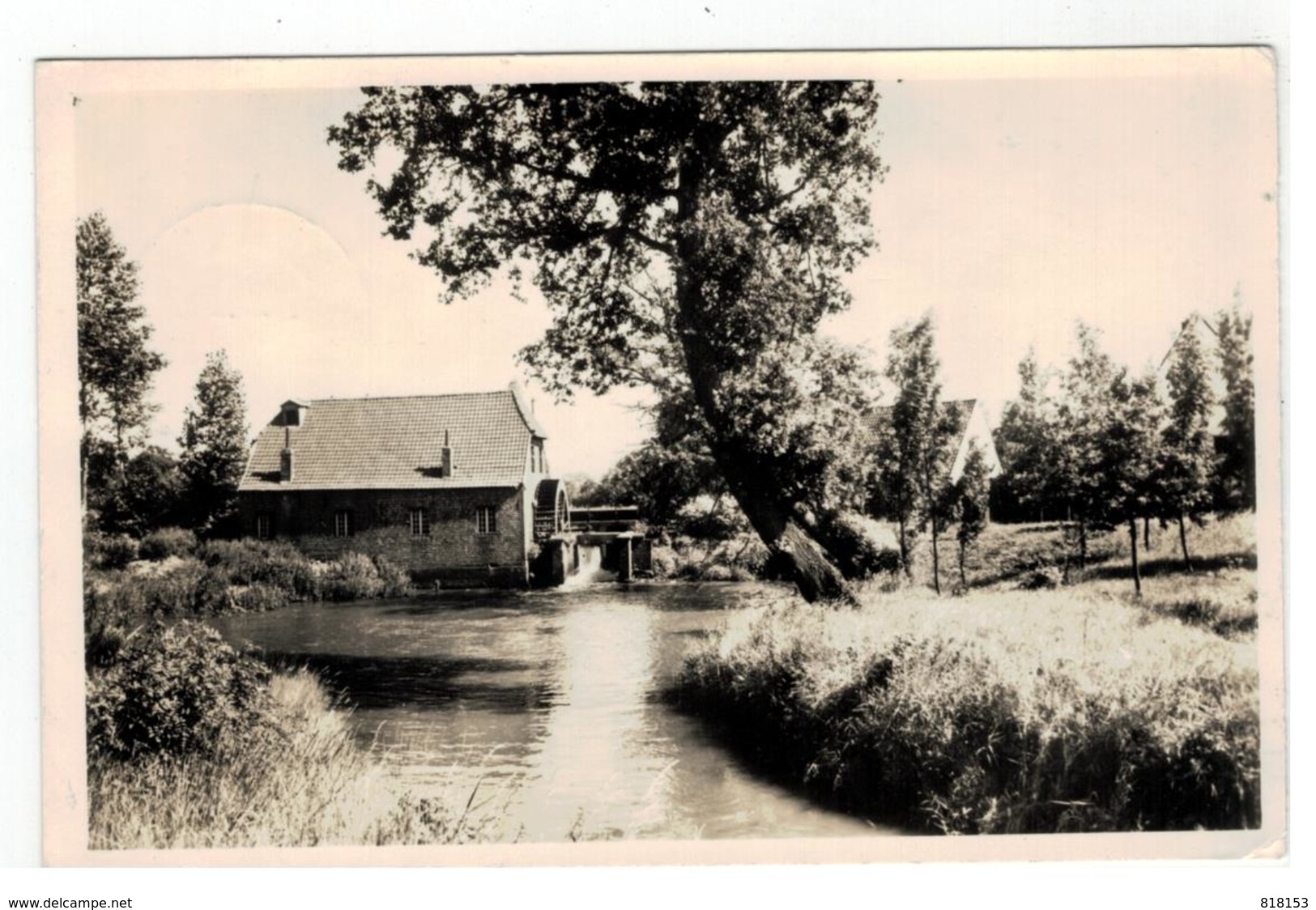 Balen  Hoolst Molen - Balen