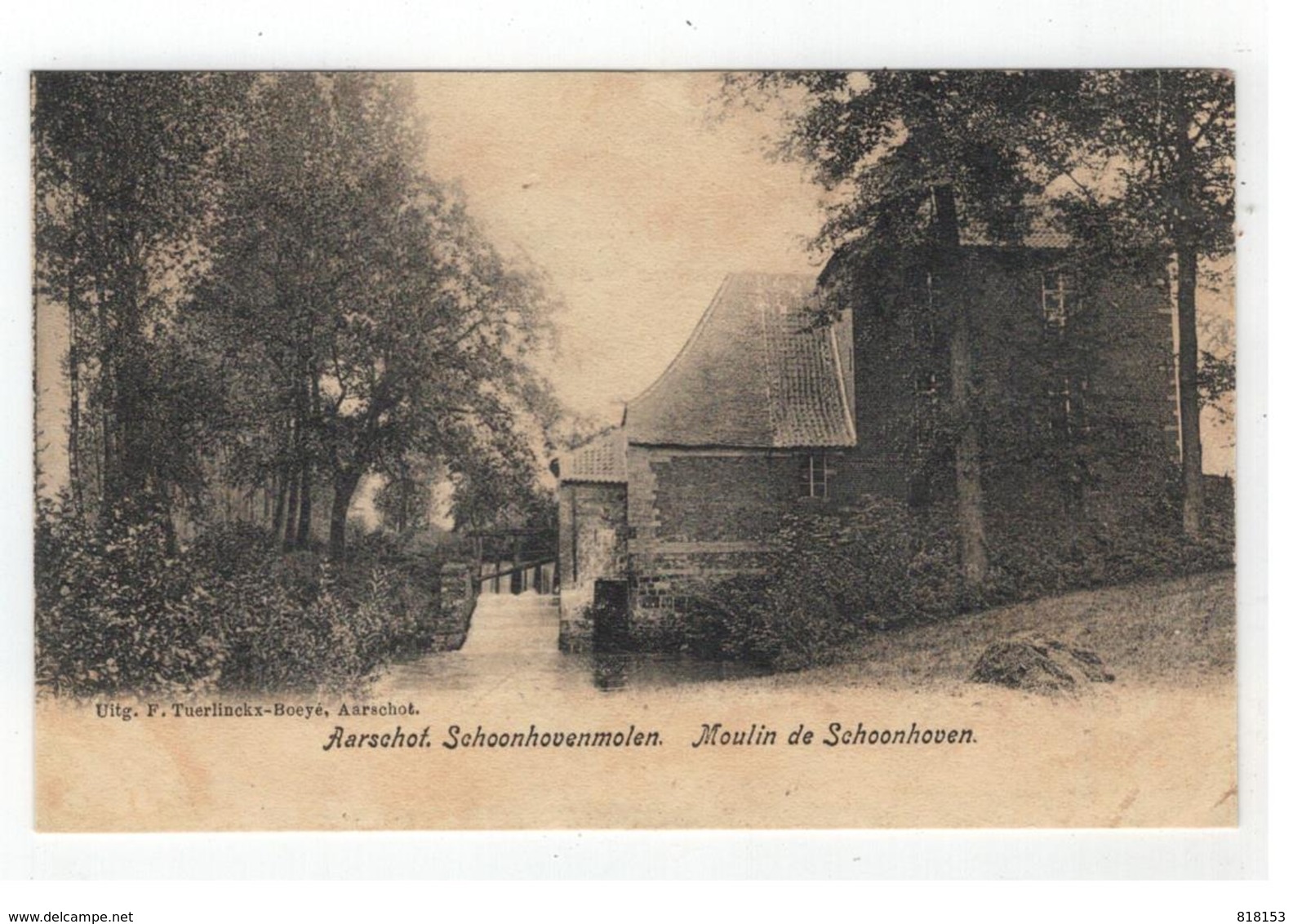 Aarschot  Schoonhovenmolen. Moulin De Schoonhoven - Aarschot