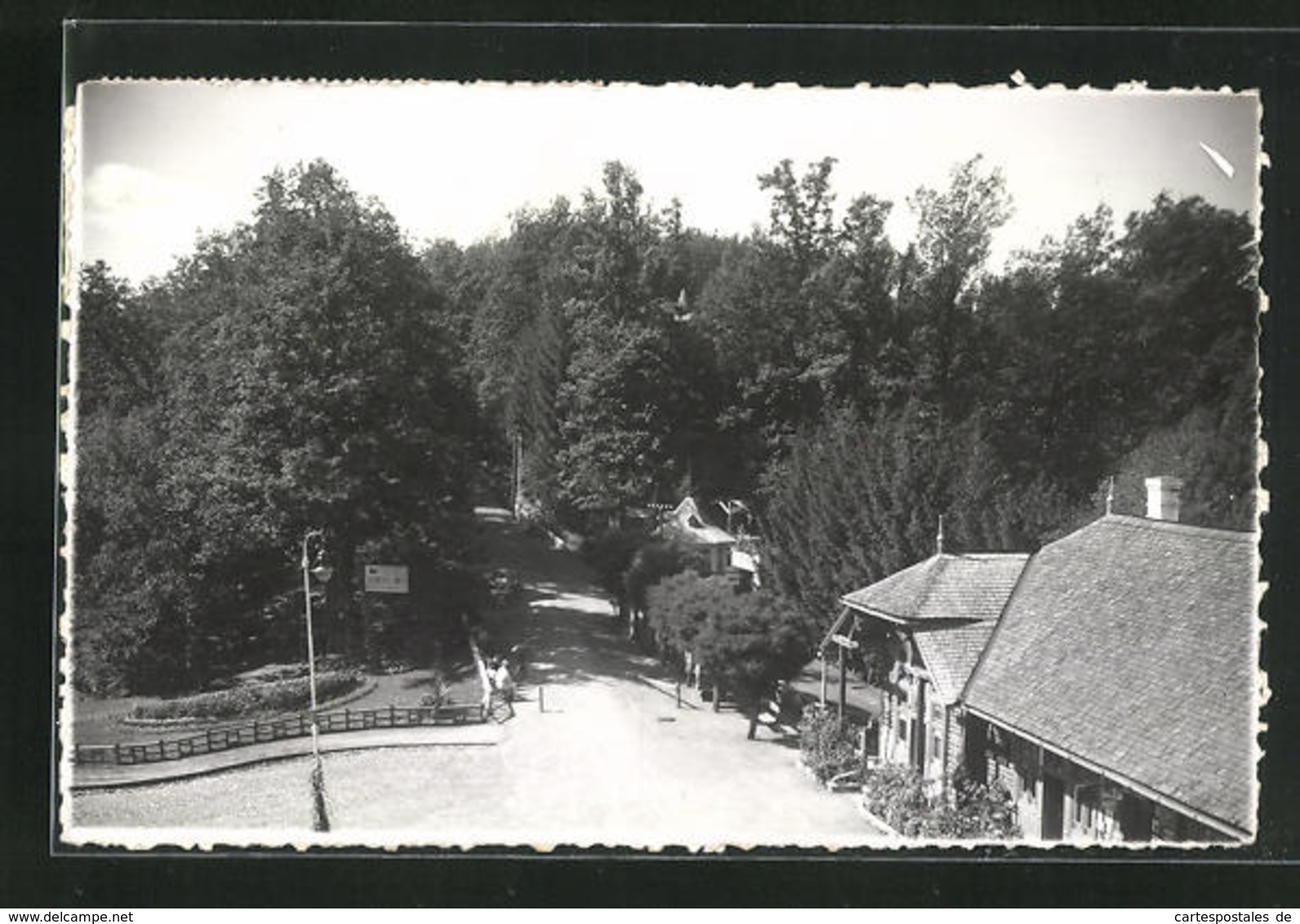 AK Bad Sovata, Teilansicht Mit Häusern Am Park - Romania