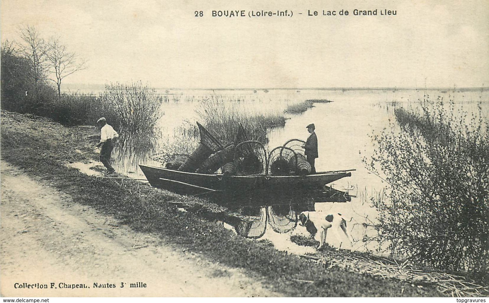 44 BOUAYE. Lac De Grand Lieu Avec Pêcheurs De Crabes, Ecrevisses Et Anguilles. Métiers De La Mer - Bouaye