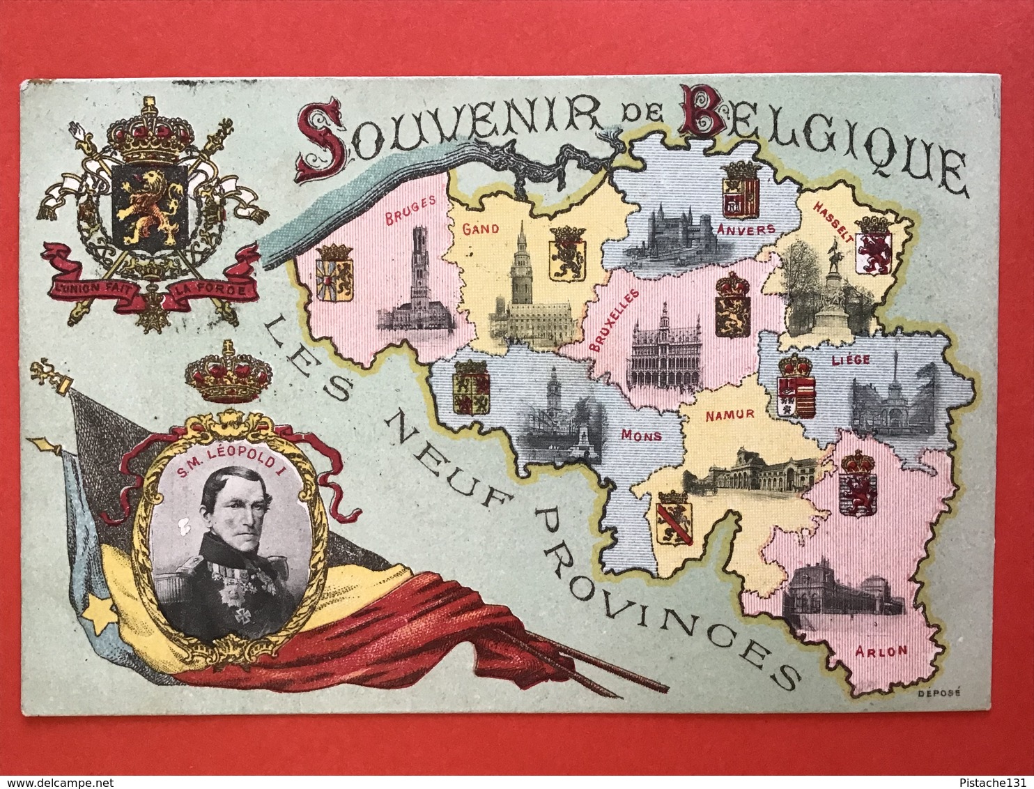 1905 - SOUVENIR DE BELGIQUE - LES NEUF PROVINCES - ROI LEOPOLD I - Heimat