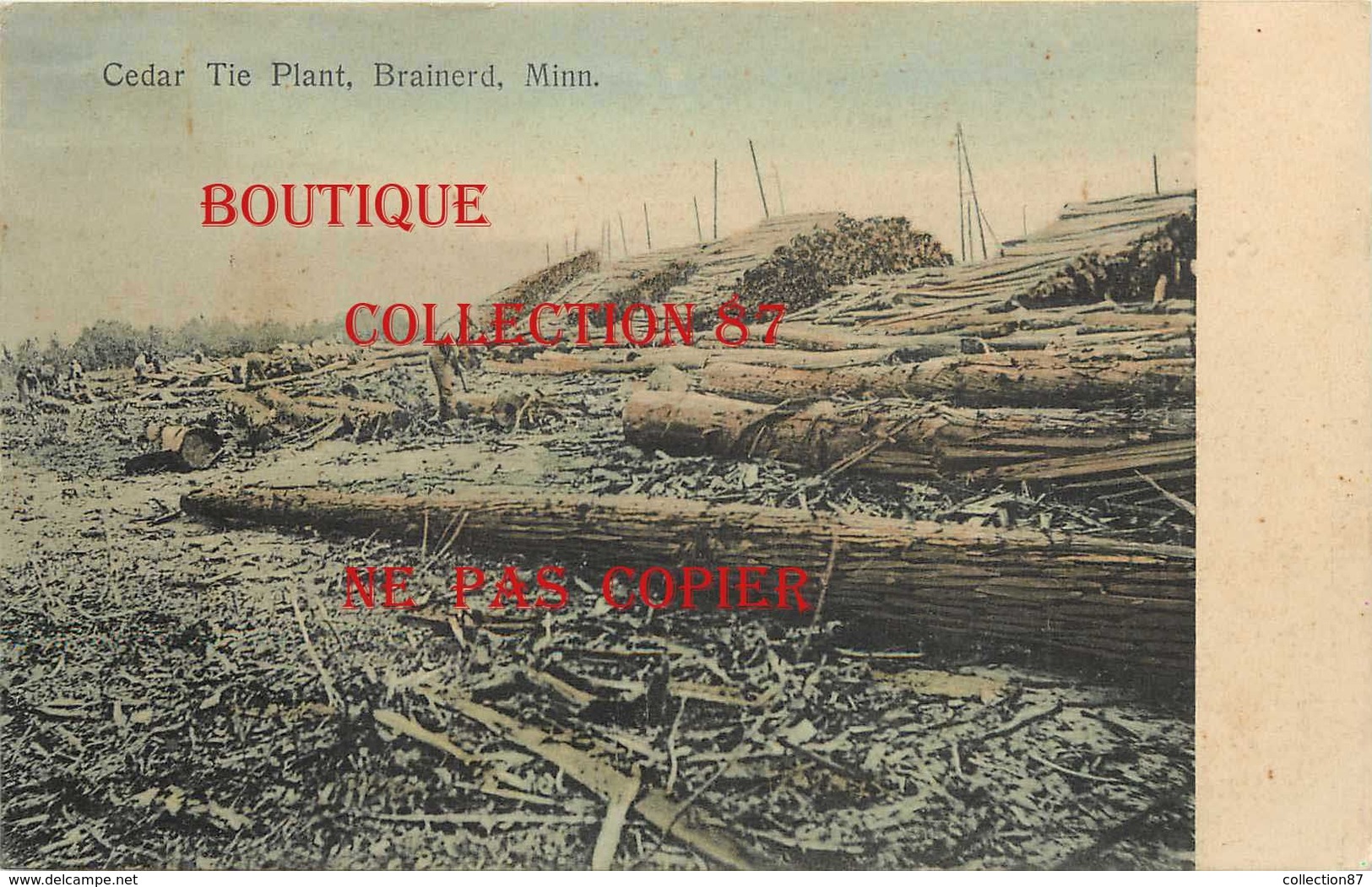 ☺♦♦ PILLAGER  1908 < CEDAR TIE PLANT BRAINERD - SCIAGE Des CEDRES - BOIS CEDRE SCIERIE - Autres & Non Classés