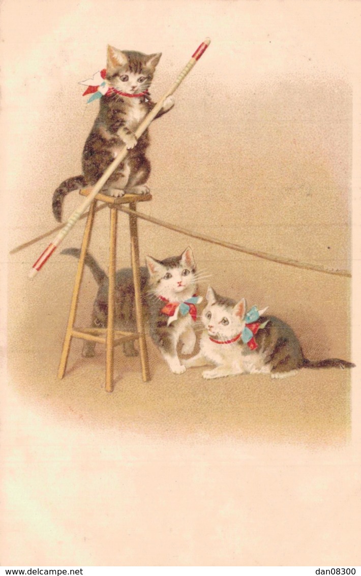 ILLUSTRATION CIRQUE CHATS FUNAMBULE CARTE PRECURSEUR PAS CIRCULEE - 1900-1949