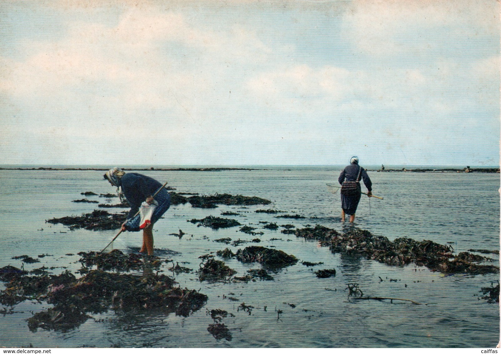 PORTBAIL PECHE A LA CREVETTE - Autres & Non Classés