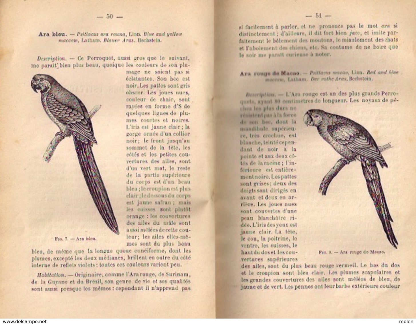 ©1829 MANUEL DE L’AMATEUR des OISEAUX DE VOLIERE 428pg Bechstein oiseau vogel bird VOLIERE VOGELS ORNITHOLOGUE Z305