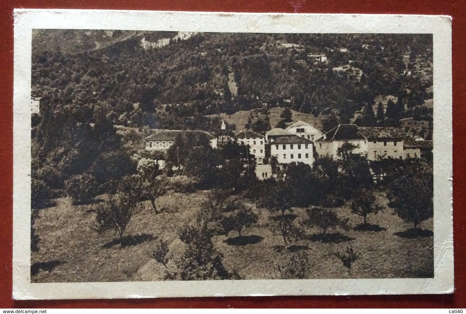 SUSIN DI SOSPIROLO  ALBERGO DOGLIONI  CARTOLINA VIAGGIATA CON AMB. BELLUNO - VENEZIA * 210 *  13/9/32 - Storia Postale