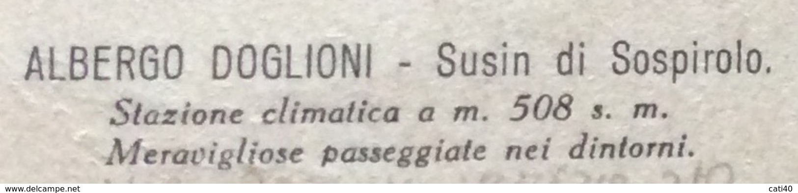 SUSIN DI SOSPIROLO  ALBERGO DOGLIONI  CARTOLINA VIAGGIATA CON AMB. BELLUNO - VENEZIA * 210 *  13/9/32 - Storia Postale