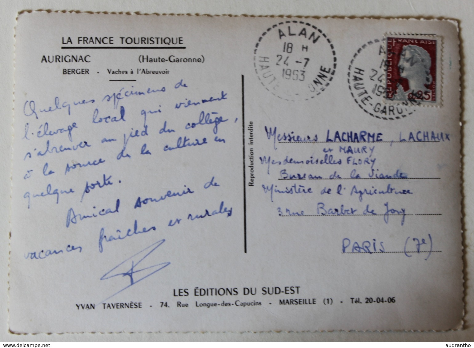 CPSM Peu Courante 31 Aurignac Berger Vaches à L'abreuvoir 1953 Paysan - Other & Unclassified