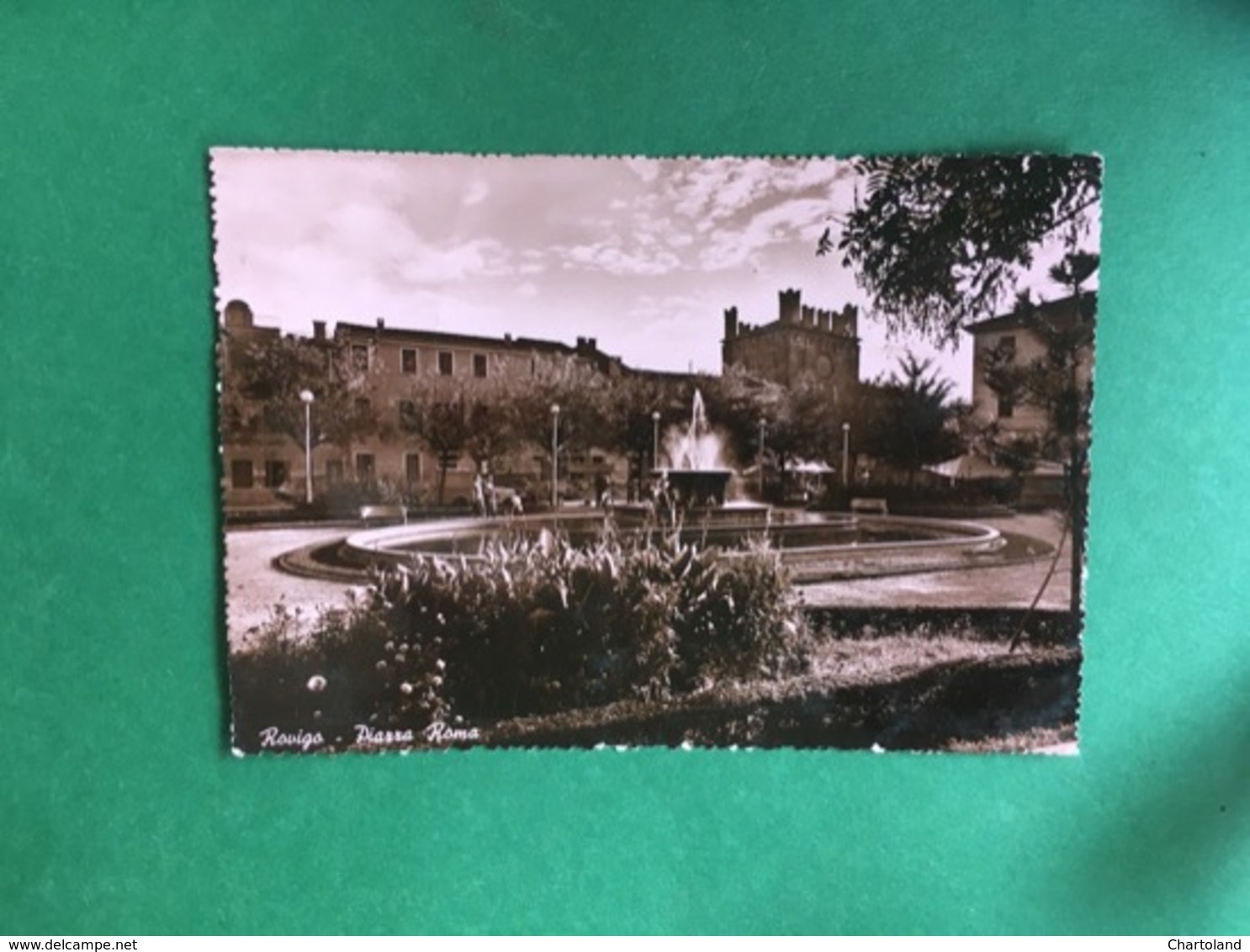 Cartolina Rovigo - Piazza Roma - 1954 - Rovigo