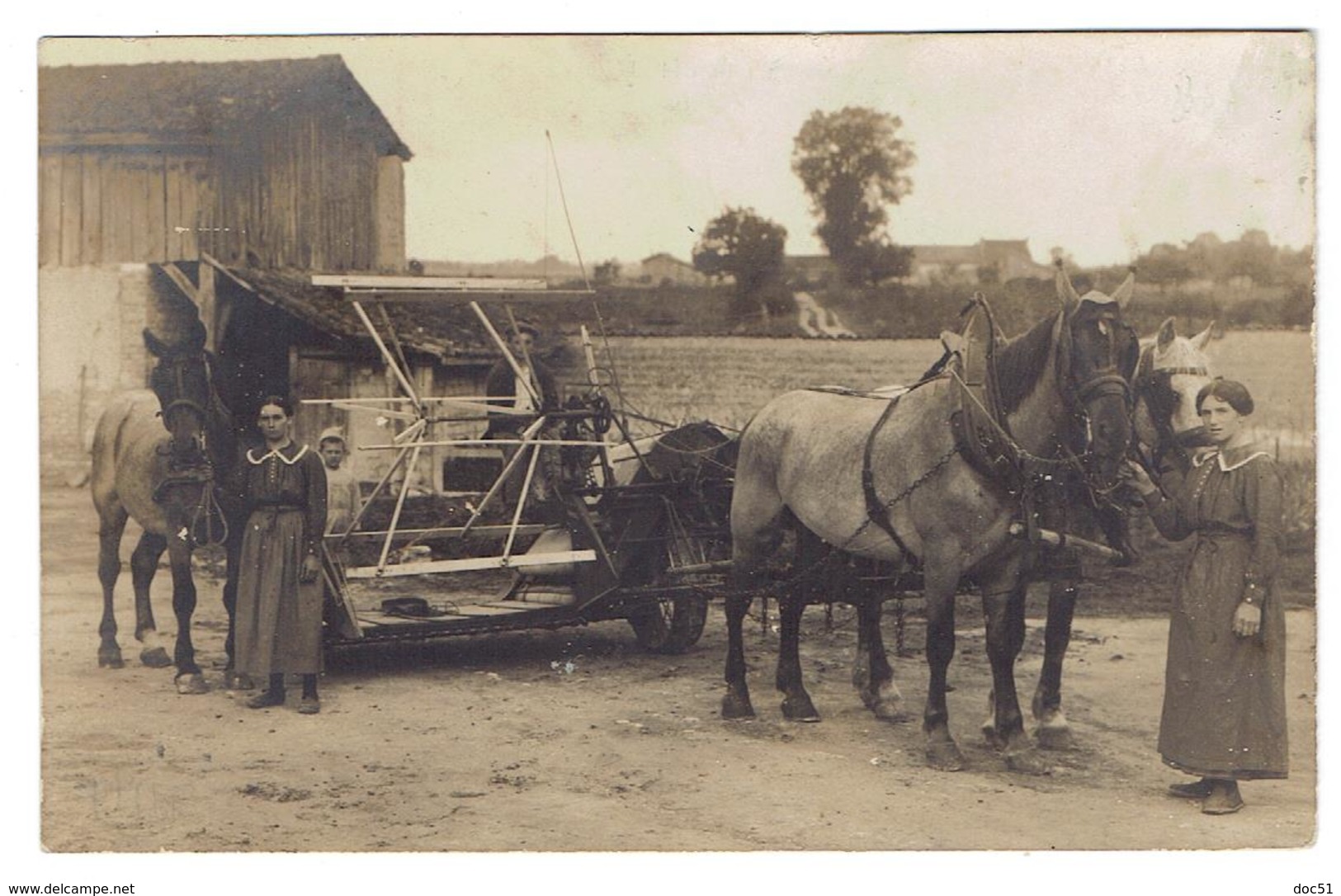 Matougues - Belle Carte-photo D'un Attelage Agricole - Autres & Non Classés