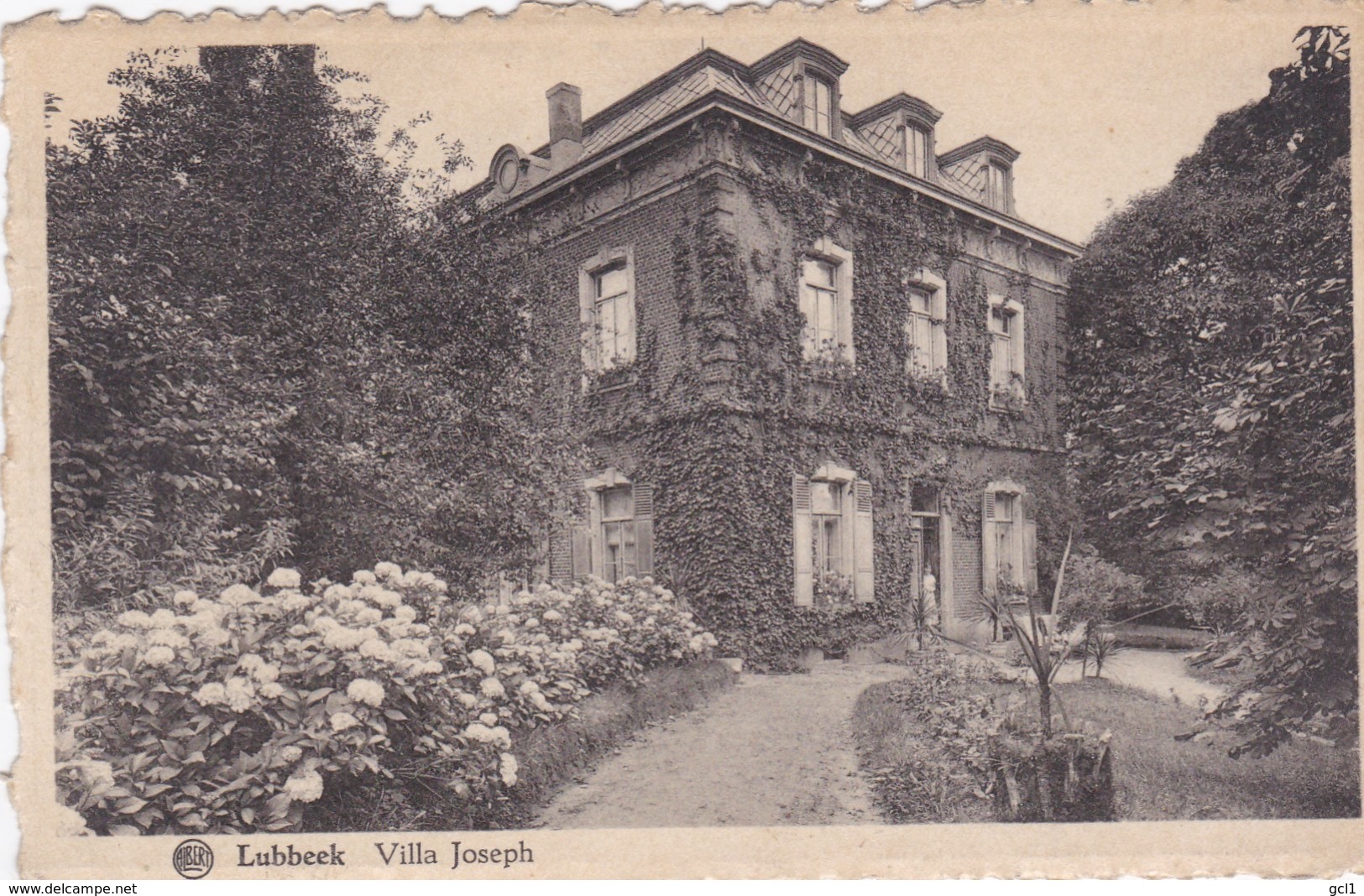 Lubbeek - (klein Formaat , Gekardelde Kaart) Villa Joseph - Lubbeek