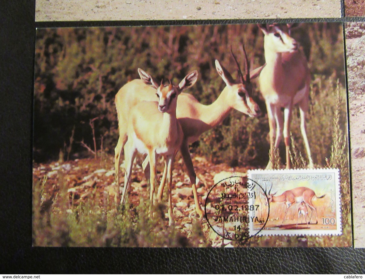 LIBIA - 1987 - WWF - SALVAGUARDIA DELLA NATURA - FDC - Libia