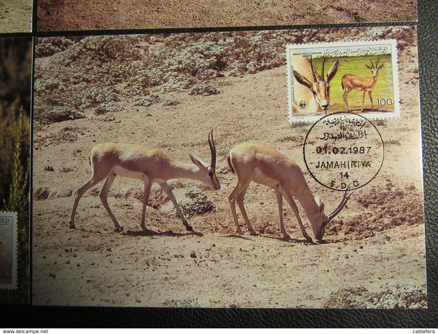 LIBIA - 1987 - WWF - SALVAGUARDIA DELLA NATURA - FDC - Libia