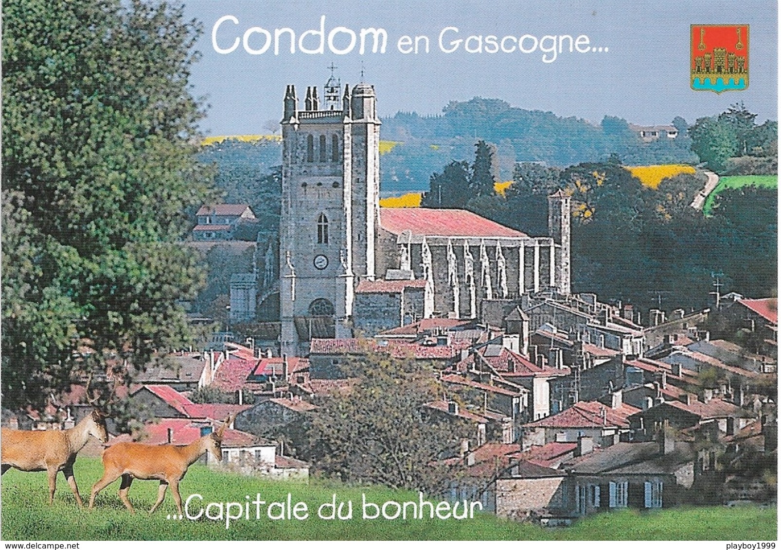 32 - CONDOM En GASCOGNE - Capitale Du Bonheur - Cpm - Vierge - - Condom