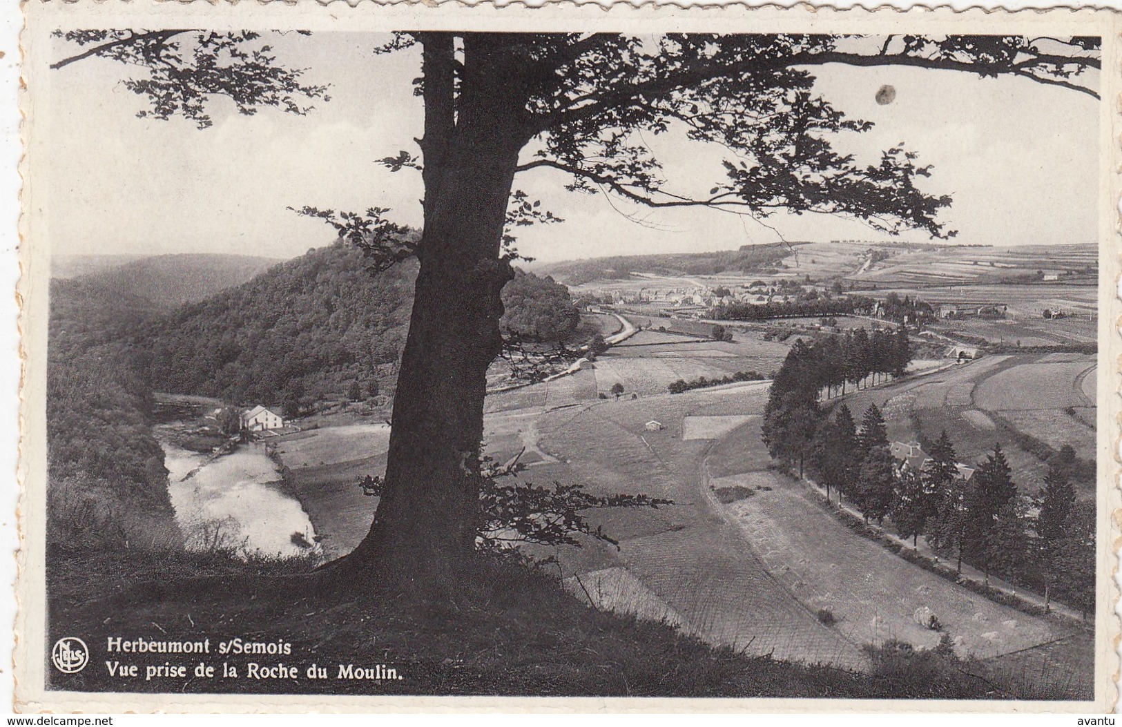 HERBEUMONT /  VUE PRISE DE LA ROCHE DU MOULIN - Herbeumont