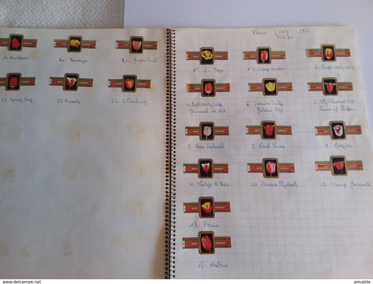 Bagues de cigares (Cahier  de collection)