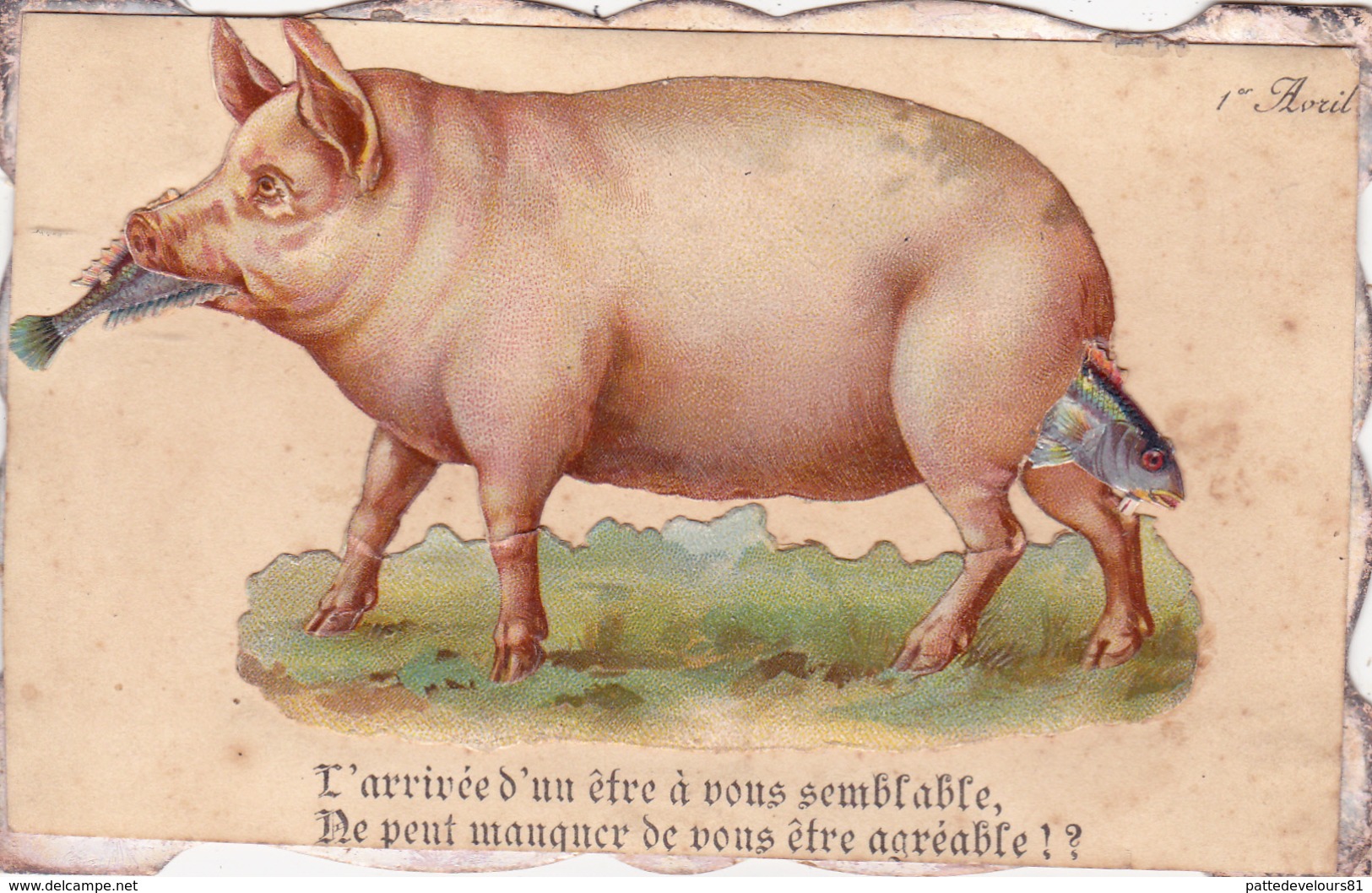 CPA Découpi Ajouti Collage Cochon Porc Pig Poisson Fish 1er Avril Humour (2 Scans) - Cerdos