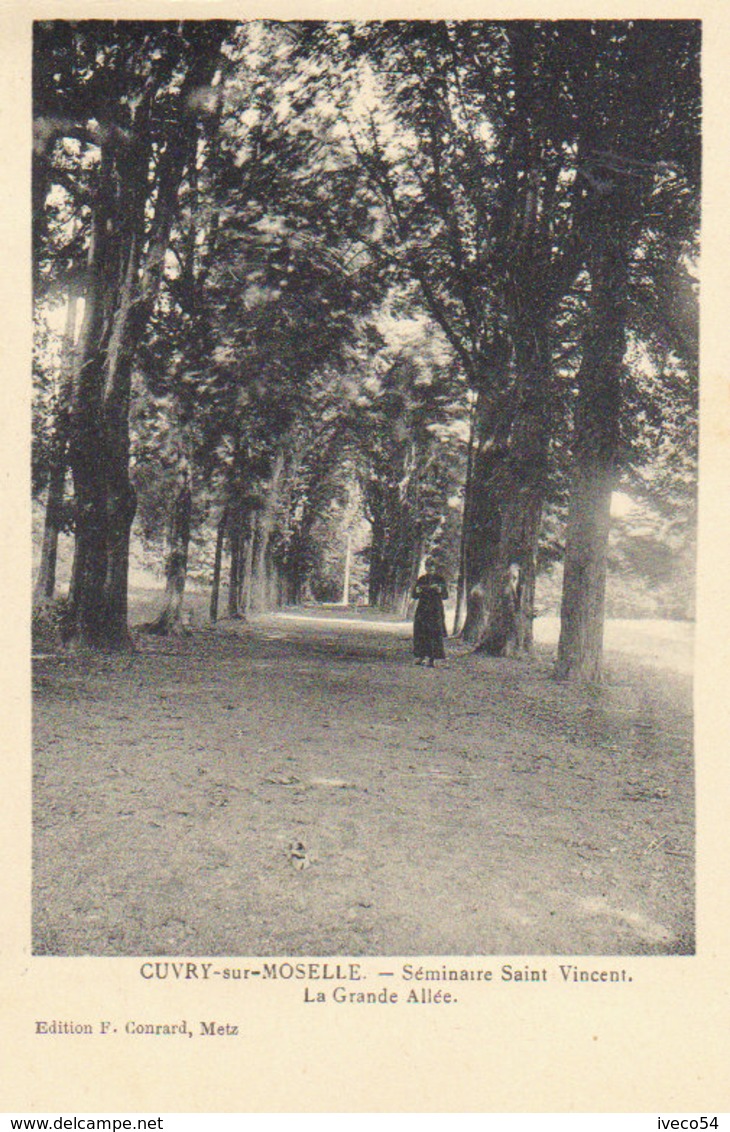 57 - Cuvry Sur Moselle   - Séminaire St Vincent  " La Grande Allée " - Ars Sur Moselle