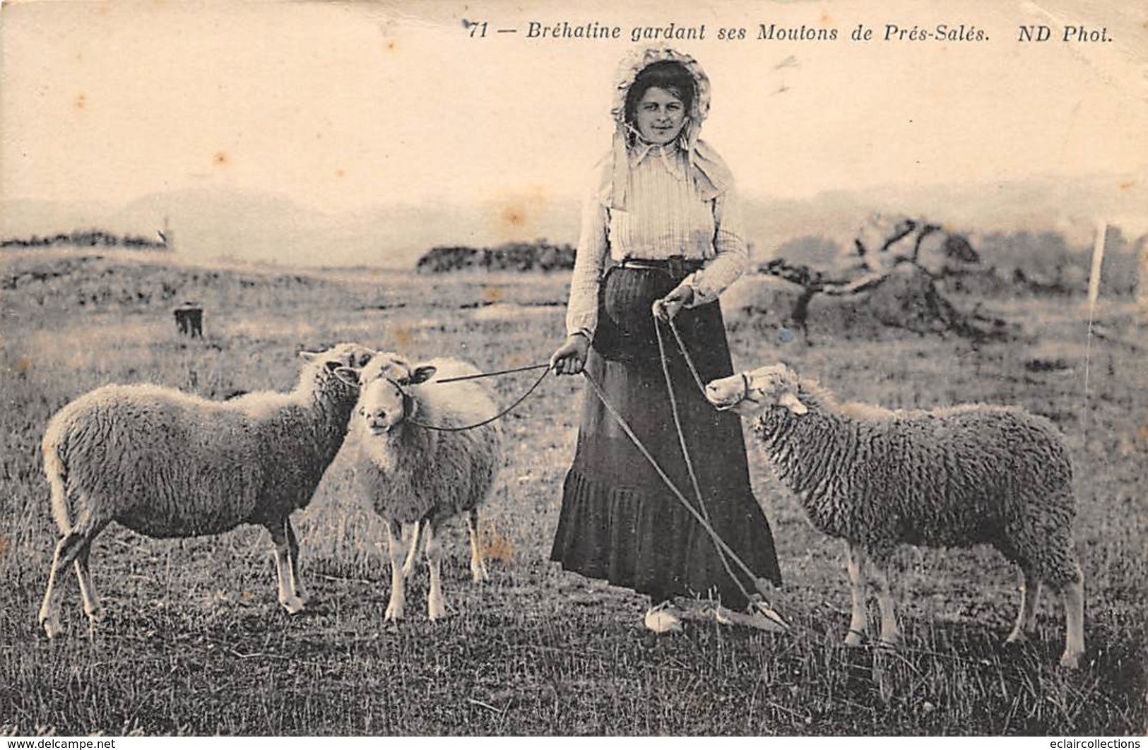 Ile De Bréhat             22      Bréhatine Gardant Ses Moutons De Prés Salés   .             (voir Scan) - Ile De Bréhat