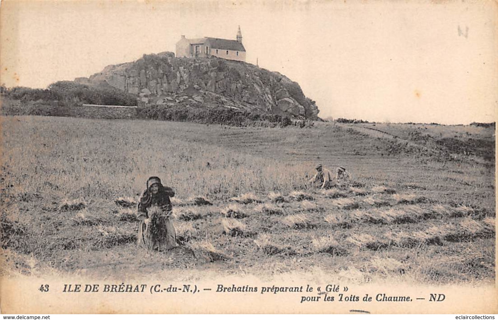 Ile De Bréhat             22      Bréhatines Préparant Le Glé Pour Les Toits De Chaume   .             (voir Scan) - Ile De Bréhat