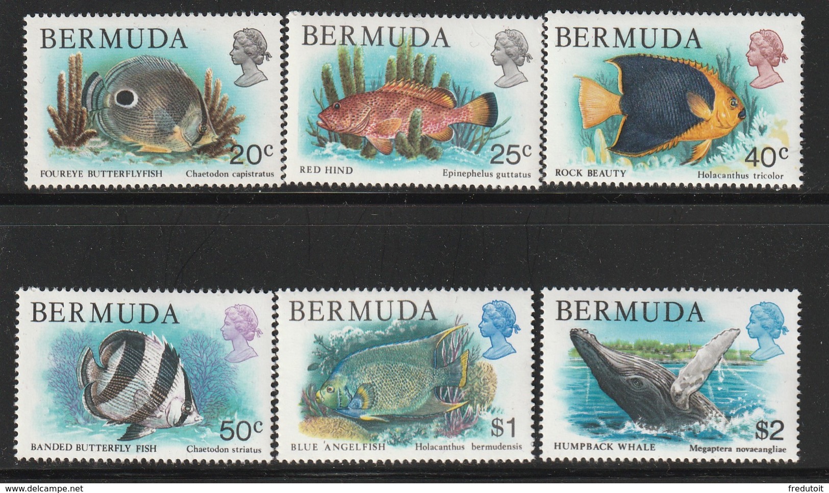 BERMUDES - 6 Timbres ** (1978) Poissons - Bermuda