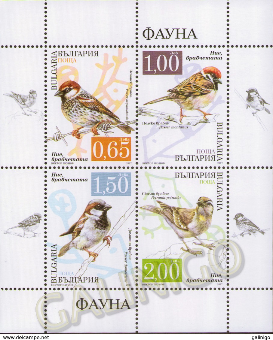 2017 Bulgaria S/S FAUNA: Birds:SPARROWS  MNH - Moineaux