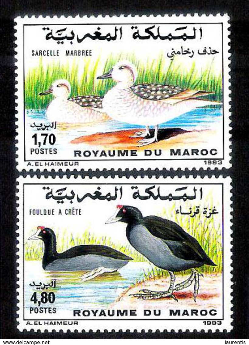 14645  Ducks - Canards - Birds - Maroc Yv 1151-52 - MNH - 1,50 (4) - Ducks