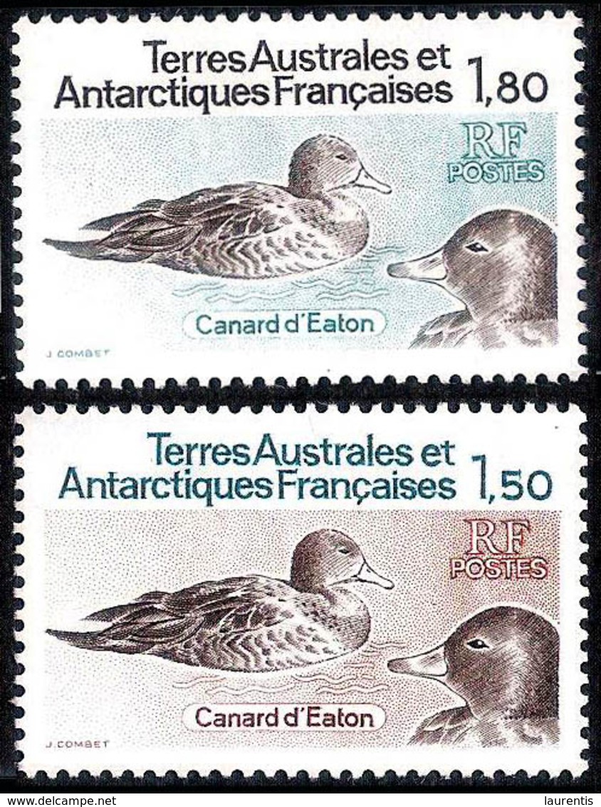 14645  Ducks - Canards - TAAF Yv 97-98 - MNH - 2,85 (15) - Anatre