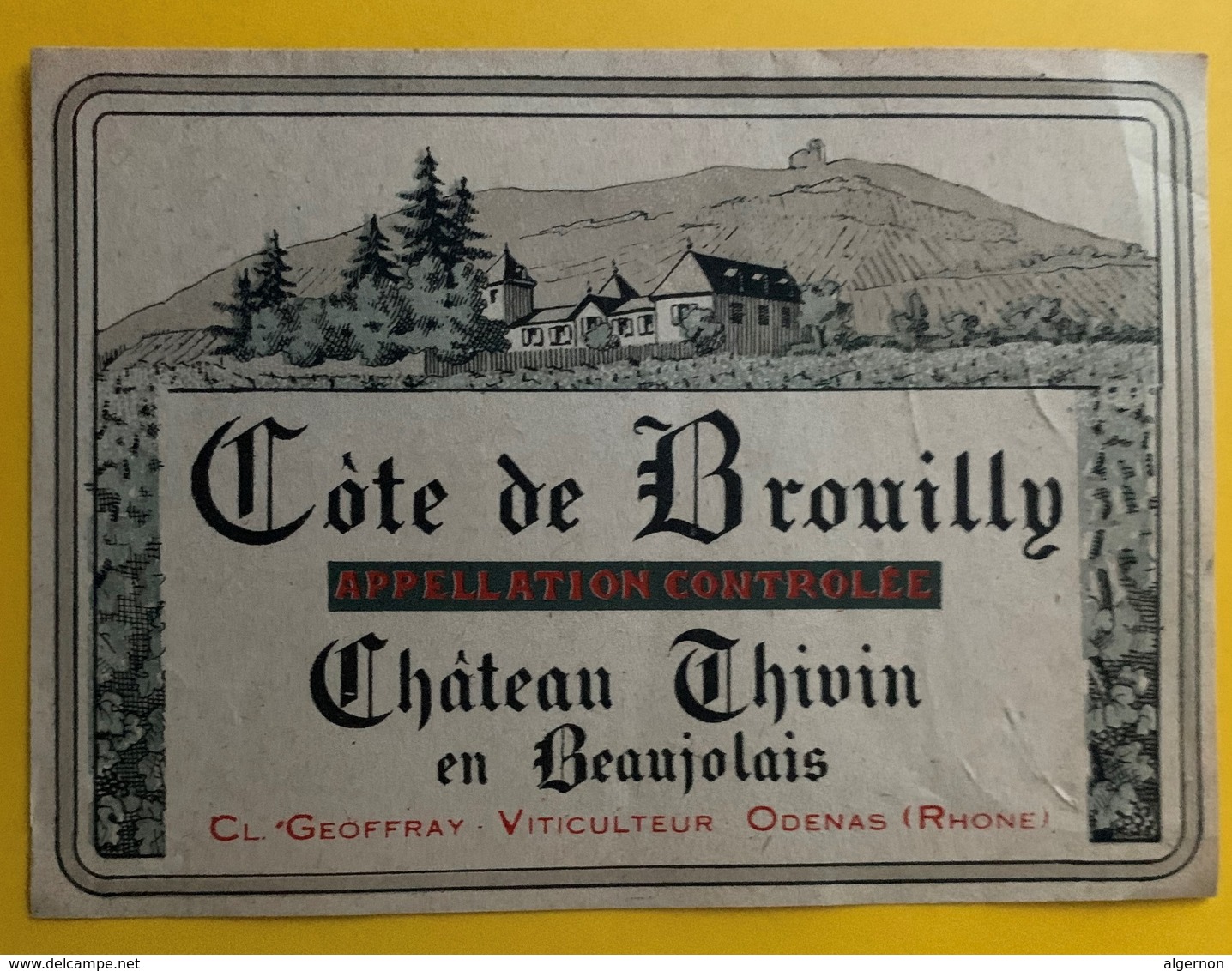 10858 - Côtes De Brouilly Château Thivin - Beaujolais