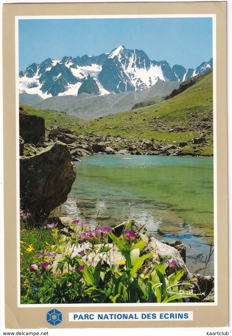 Les Hautes Alpes - Le Brianconnais, Lac De L'Etolie, Les Agneaux - Parc National Des Ecrins - Grenoble