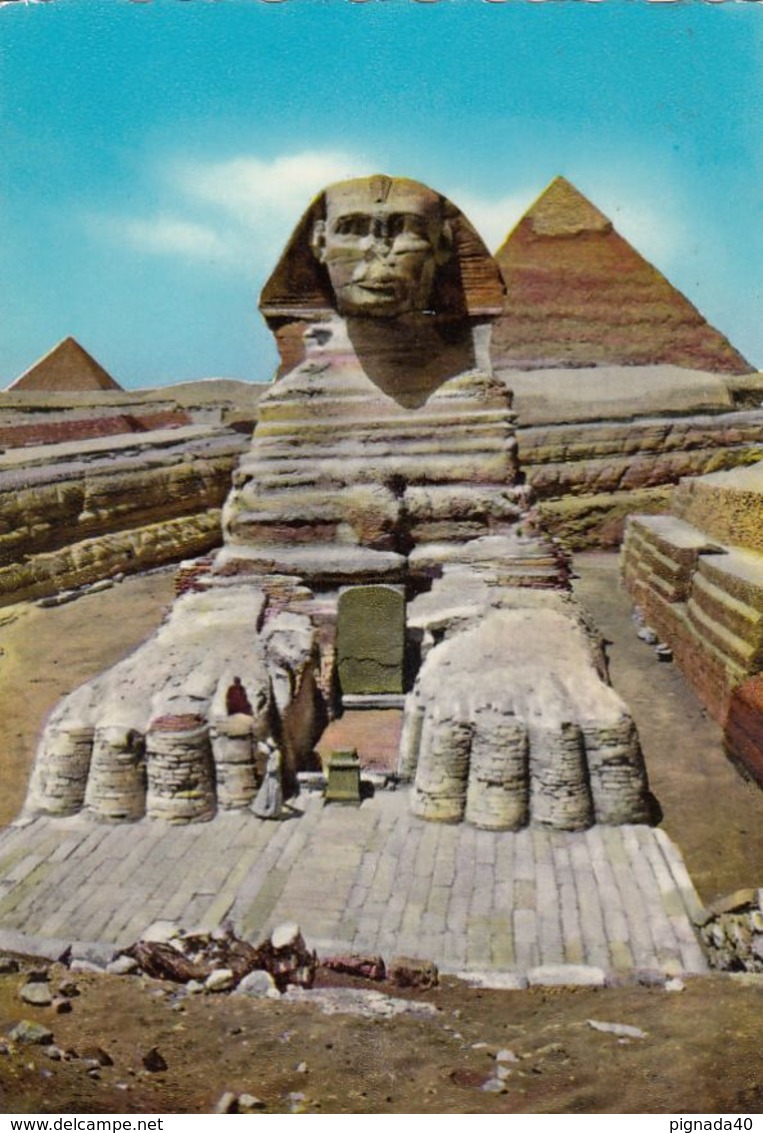 Cp , ÉGYPTE , GIZEH , The Great Sphinx Of Giza - Gizeh